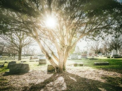 Estumulazioni Ordinarie 2025 - Cimitero di Torrita di Siena