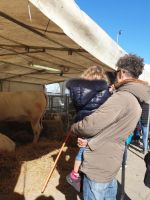 fiera_s.antonio_torrita fiera_s.antonio_torrita