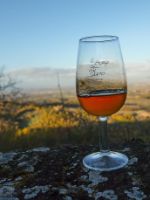 vin santo montefollonico vin santo montefollonico